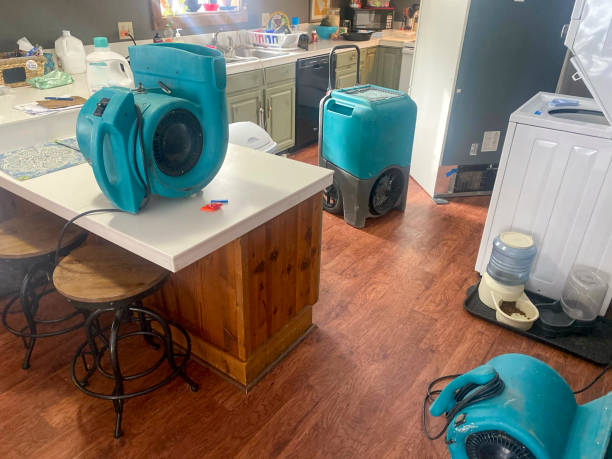  Presidential Lakes Estates, NJ Water damage restoration Pros