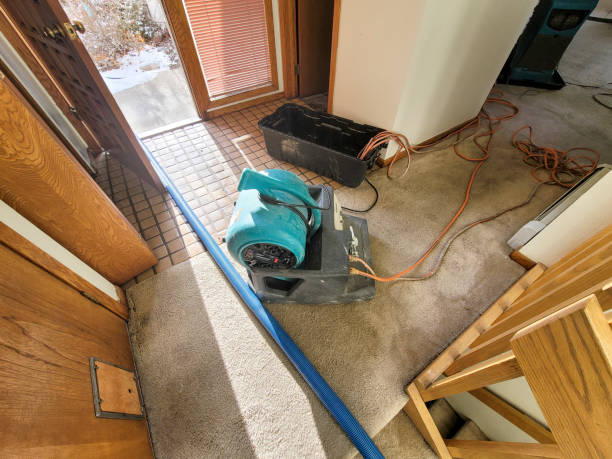 Best Commercial water damage restoration  in Presidential Lakes Estates, NJ