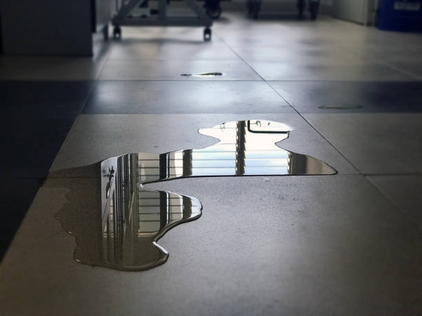 Best Water damage contractors near me  in Presidential Lakes Estates, NJ