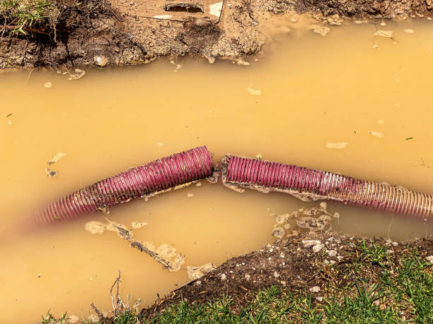 Best Flood damage cleanup  in Presidential Lakes Estates, NJ